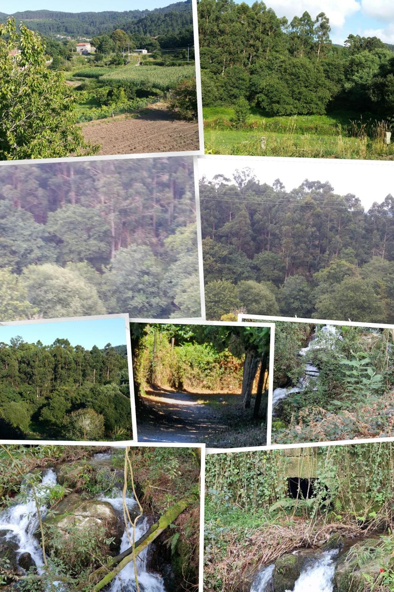 גונדומר Villa Campo Das Medas , En Medio De La Naturaleza Con Piscina Privada De Sal מראה חיצוני תמונה
